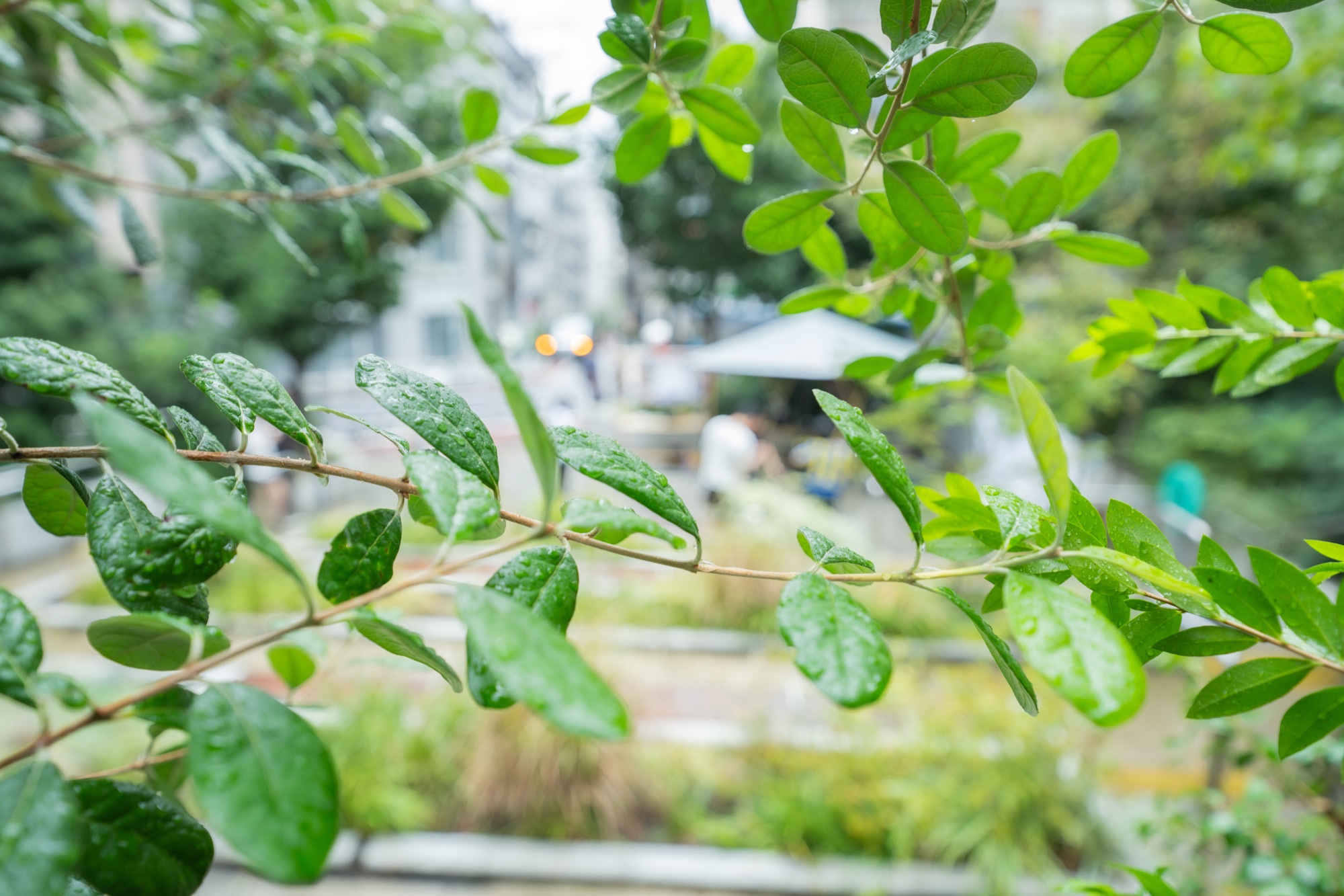 City Green Hero Background